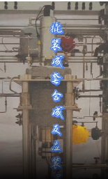 自動化撬裝成套合成反應(yīng)裝置